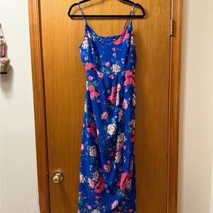Express Blue Floral Dress